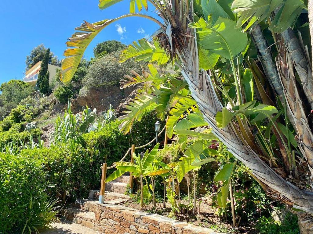 Le Rayol-Canadel-sur-Mer Villa Les Alizes מראה חיצוני תמונה