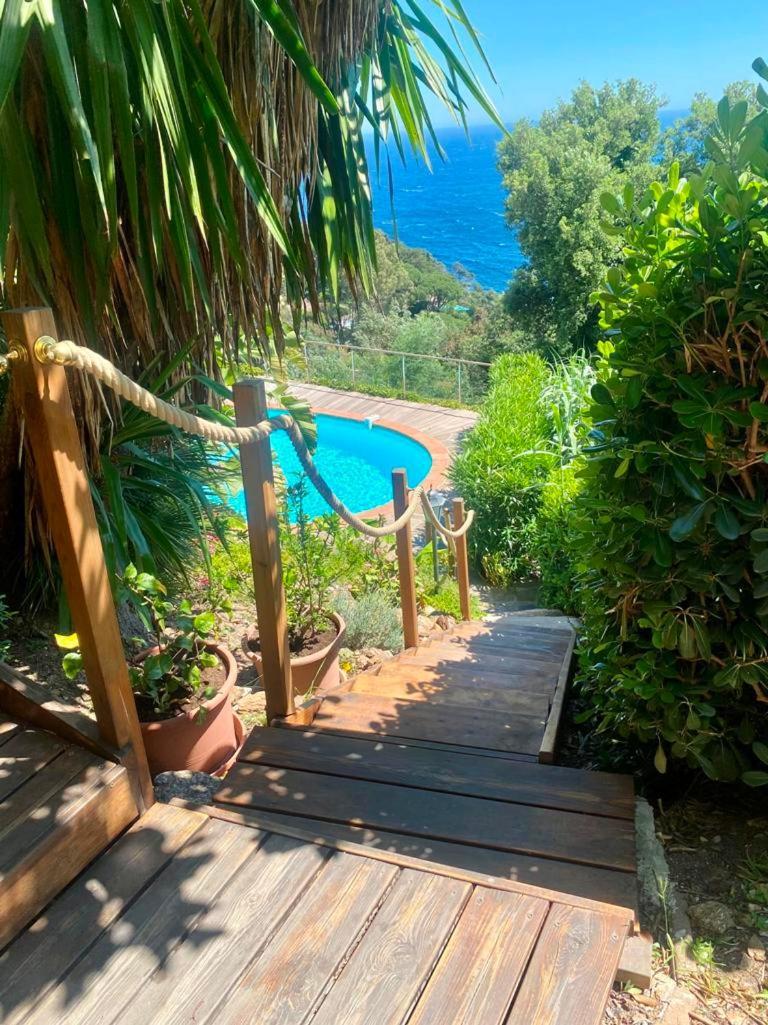 Le Rayol-Canadel-sur-Mer Villa Les Alizes מראה חיצוני תמונה