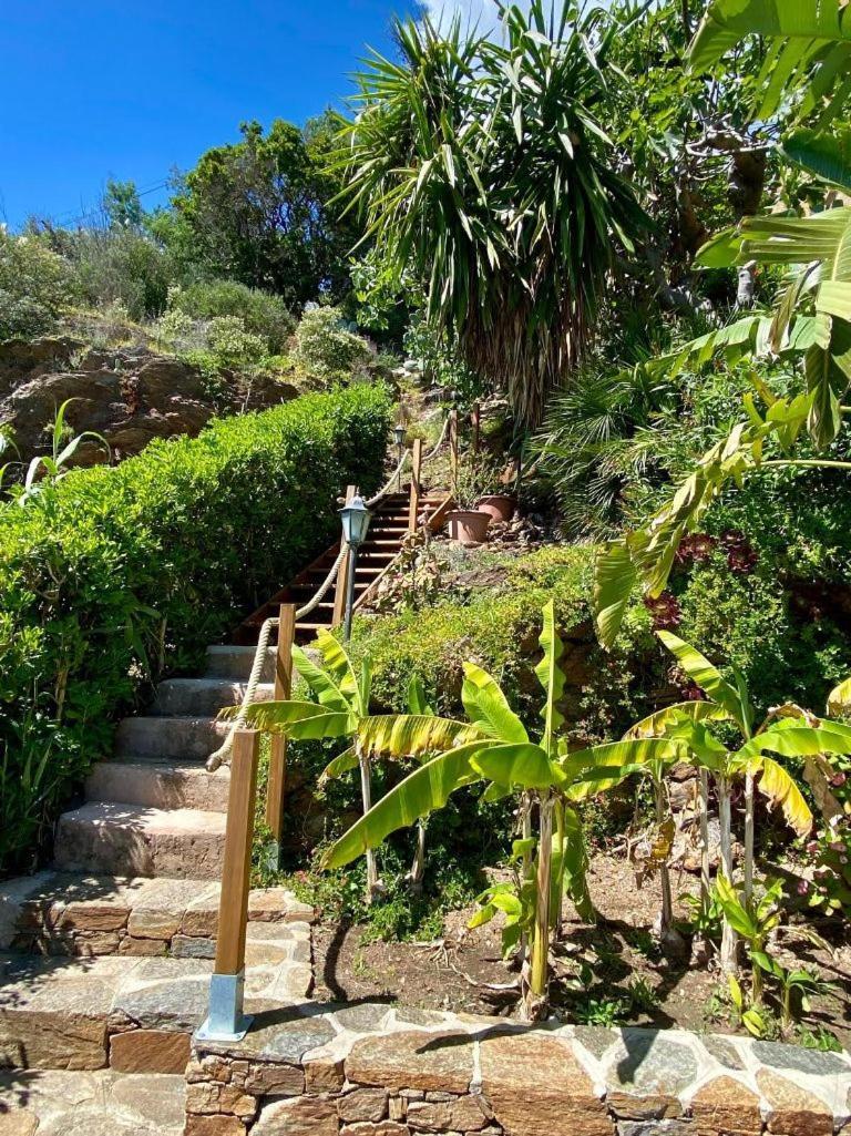 Le Rayol-Canadel-sur-Mer Villa Les Alizes מראה חיצוני תמונה